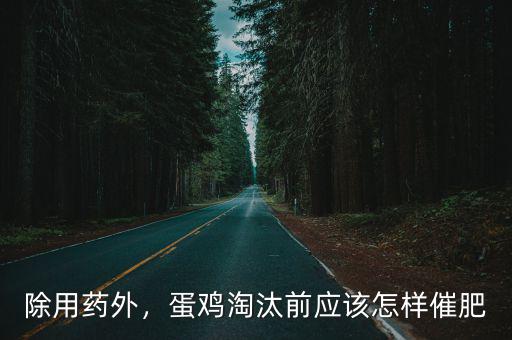除用藥外，蛋雞淘汰前應該怎樣催肥