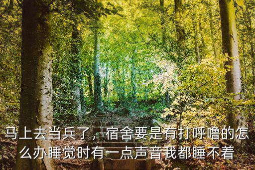 馬上去當兵了，宿舍要是有打呼嚕的怎么辦睡覺時有一點聲音我都睡不著