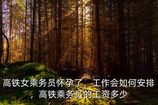 洛陽地鐵乘務員最低工資多少,高鐵乘務員的工資多少