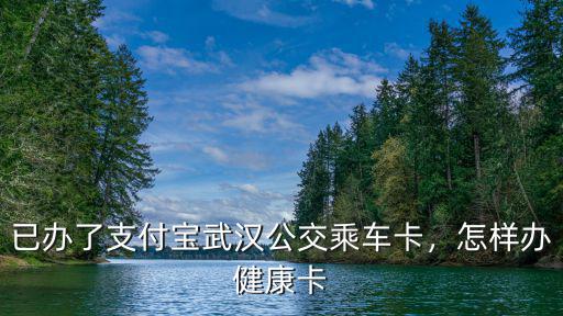 武漢健康之路平臺怎么樣,武漢有加入同城貨運平臺的嗎