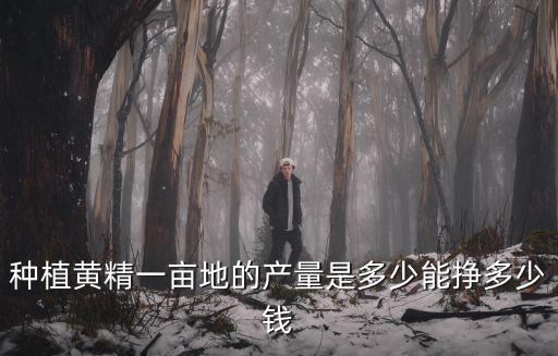 河北黃精種苗多少錢,哪里有黃精種苗