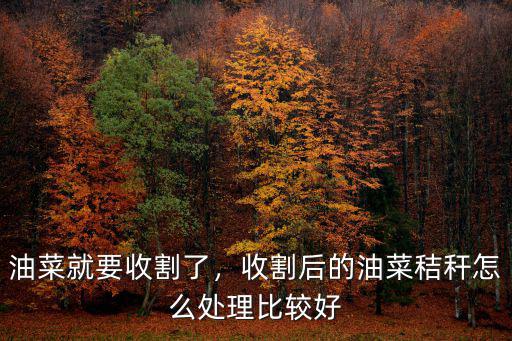 武漢油菜怎么收割,油菜就要收割了
