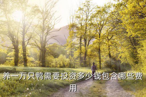 安徽阜陽養鴨子三千只大棚需要多少投資,養一萬只鴨需要投資多少錢