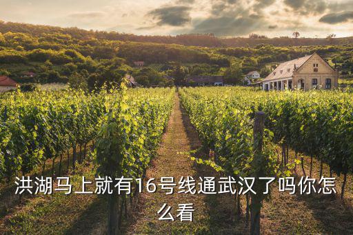 武漢到洪湖的高速怎么那么貴,湖北洪湖為什么高速