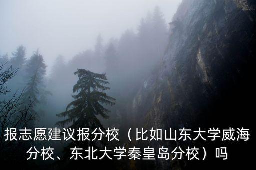 報志愿建議報分校（比如山東大學威海分校、東北大學秦皇島分校）嗎