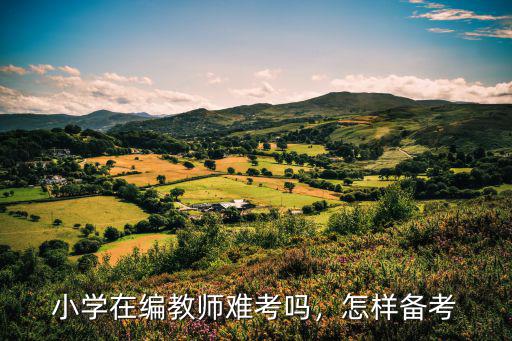 湖北省小學教育怎么備考,如何備考考編小學數學