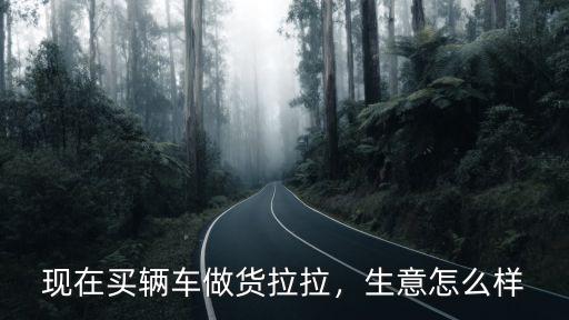 武漢貨拉拉平臺怎么樣,貨拉拉平臺還能走多遠