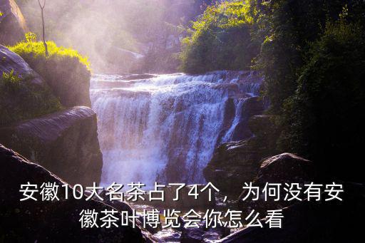 安徽10大名茶占了4個，為何沒有安徽茶葉博覽會你怎么看
