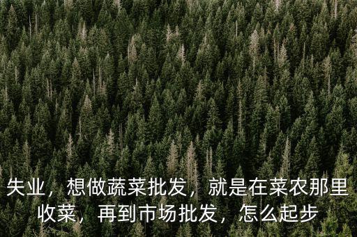 達州市批發蔬菜去哪里批發,想做蔬菜批發