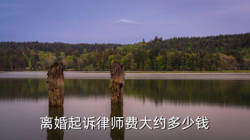 離婚起訴律師費(fèi)大約多少錢