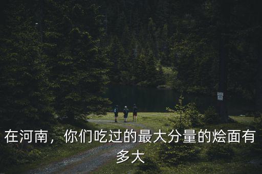 河南燴面多少錢一包,請你們評價一下河南的燴面
