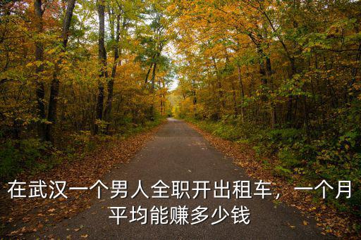 在武漢一個男人全職開出租車，一個月平均能賺多少錢