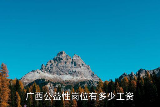 廣西公益性崗位有多少工資