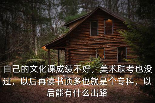 自己的文化課成績不好，美術聯考也沒過，以后再讀書頂多也就是個專科，以后能有什么出路