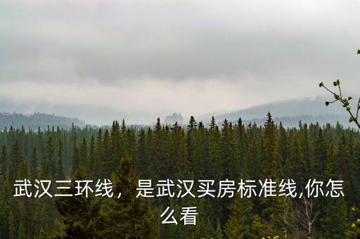 武漢新三環線怎么建,怎么優化武漢地鐵規劃線路