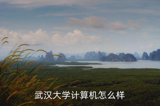 武漢大學計算機怎么樣