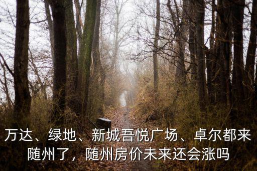 隨州房價(jià)怎么漲這么高,你怎么看待湖北隨州的房價(jià)