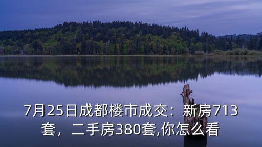 成都樓市成交量哪里看,6月17日成都樓市成交