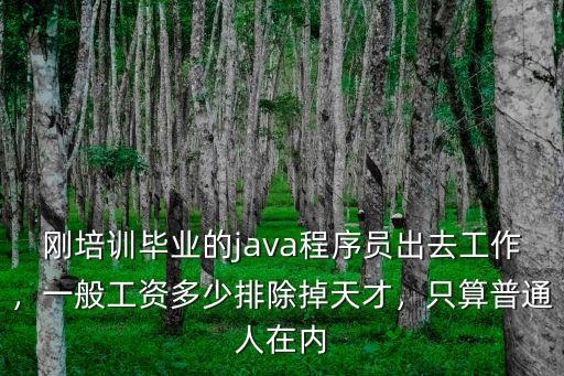 保定java開發(fā)工資一般多少,一般工資多少