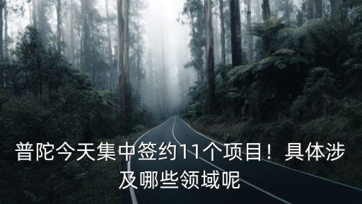 普陀今天集中簽約11個項目！具體涉及哪些領域呢