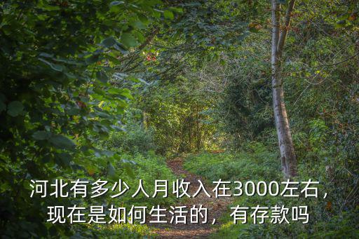 河北有多少人月收入在3000左右，現(xiàn)在是如何生活的，有存款嗎