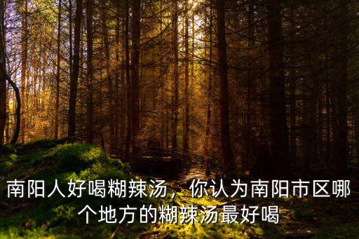 南陽哪里的湯做得好,南陽有什么好吃的美食