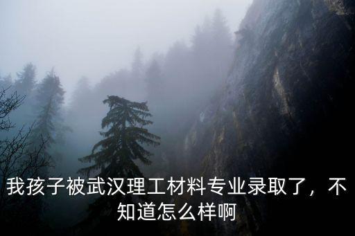武漢材料研究所怎么樣,武漢科技大學怎么樣
