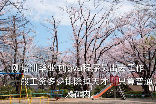 保定java開(kāi)發(fā)一半工資多少,一般工資多少