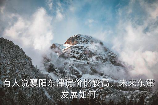 襄陽東津賣10畝地怎么辦,有人說襄陽東津房價比較高