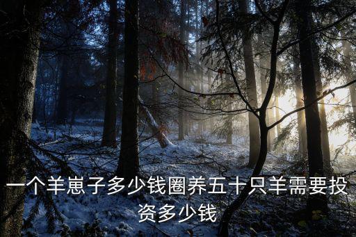 一個(gè)羊崽子多少錢圈養(yǎng)五十只羊需要投資多少錢