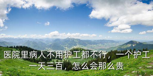 醫院里病人不用護工都不行，一個護工一天三百，怎么會那么貴