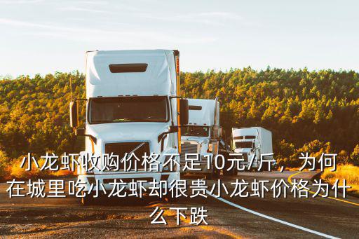 小龍蝦收購價格不足10元/斤，為何在城里吃小龍蝦卻很貴小龍蝦價格為什么下跌