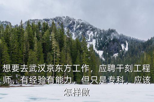 想要去武漢京東方工作，應(yīng)聘干刻工程師，有經(jīng)驗(yàn)有能力，但只是專科，應(yīng)該怎樣做