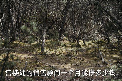 售樓處的銷售顧問一個月能掙多少錢