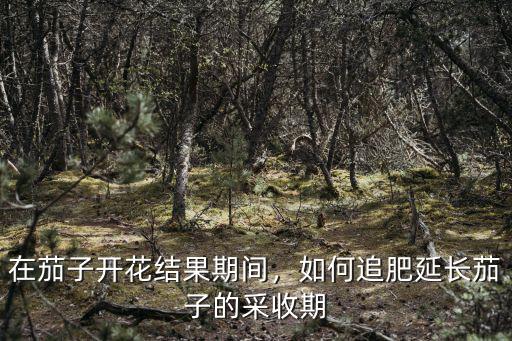 茄子每棵是多少復合肥,在茄子開花結(jié)果期間