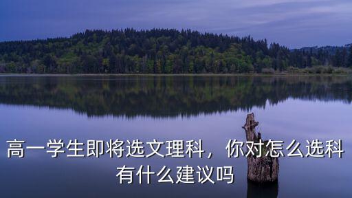 高一學生即將選文理科，你對怎么選科有什么建議嗎
