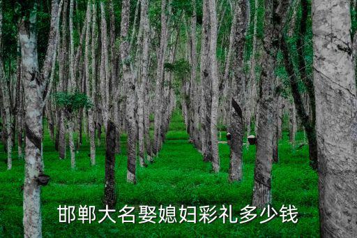 河北魏縣嫁女兒多少錢彩禮,你們那里彩禮多少錢啊