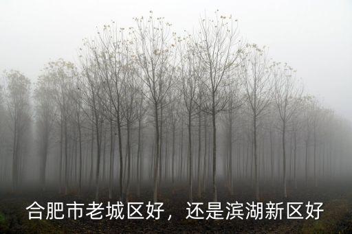 合肥市老城區好，還是濱湖新區好