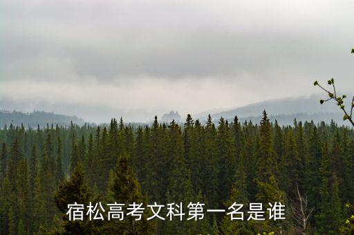 安慶考高文科第一名是多少分,宿松高考文科第一名是誰