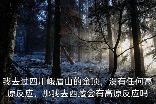 四川哪里會有高原反應,那我去西藏會有高原反應嗎