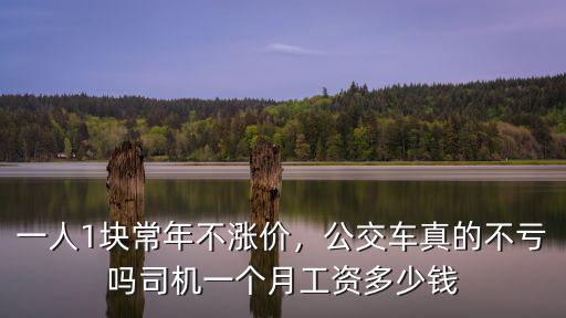 一人1塊常年不漲價(jià)，公交車(chē)真的不虧嗎司機(jī)一個(gè)月工資多少錢(qián)