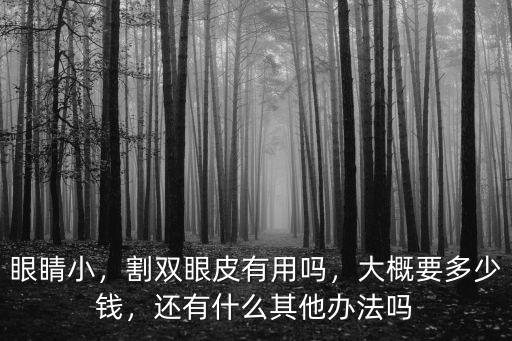 眼睛小，割雙眼皮有用嗎，大概要多少錢，還有什么其他辦法嗎