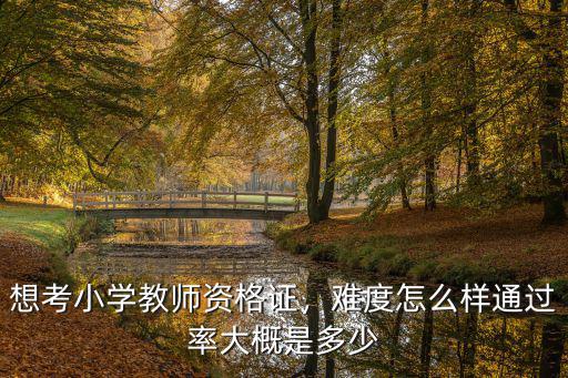 河北省小學教師資格證報名費用多少,想考小學教師資格證