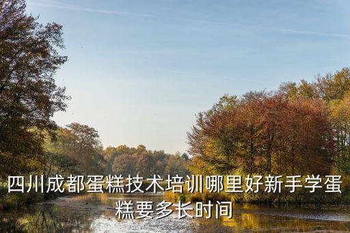 四川蛋糕烘焙哪里好,四川成都蛋糕技術培訓哪里好