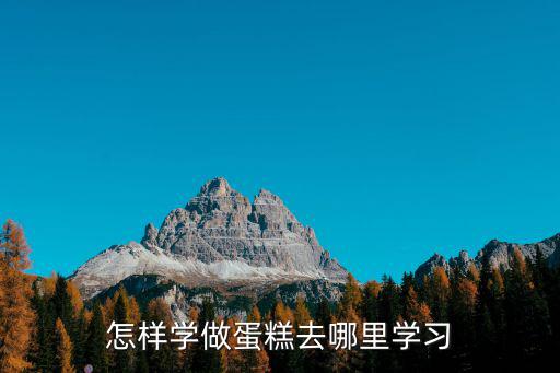 怎樣學做蛋糕去哪里學習