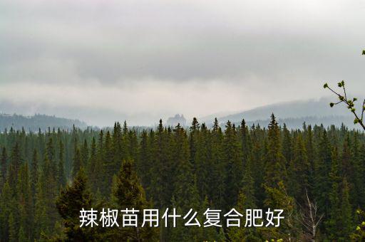 辣椒苗用什么復(fù)合肥好