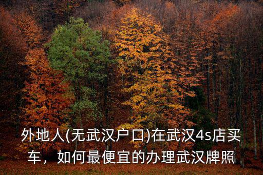 外地人(無武漢戶口)在武漢4s店買車，如何最便宜的辦理武漢牌照