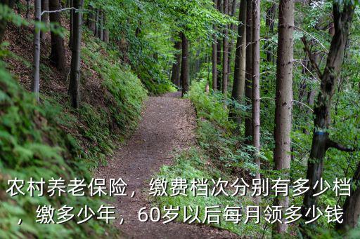 目前石家莊養老保險一個月能領多少錢,農村養老保險