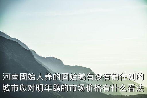 河南養殖鵝效益怎么樣,肉鵝養殖的前景怎么樣