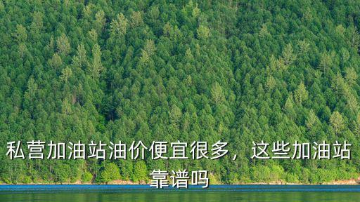 私營(yíng)加油站油價(jià)便宜很多，這些加油站靠譜嗎